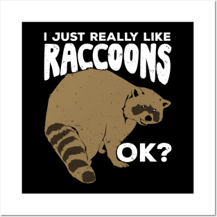 I Just Really Like Raccoons Ok Posters and Art